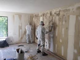 Asbestos and Lead Testing During Mold Inspection in Medina, TN